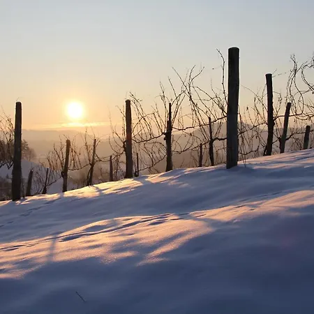 Staribacher Südsteiermark Leibnitz